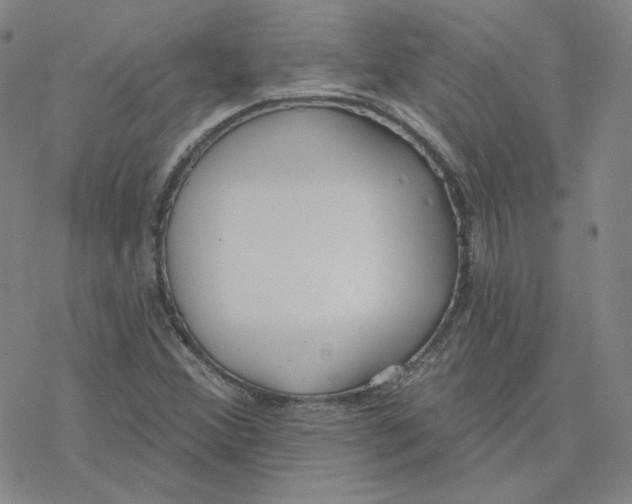 X0000076381356200610271517