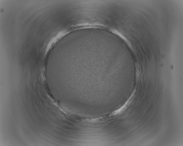 X0000076381357200610271517