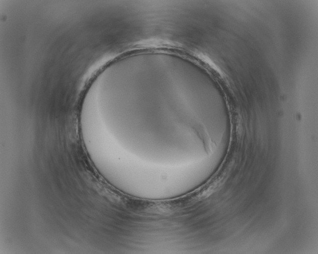 X0000076381358200610271517