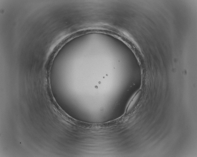 X0000076381360200610271517