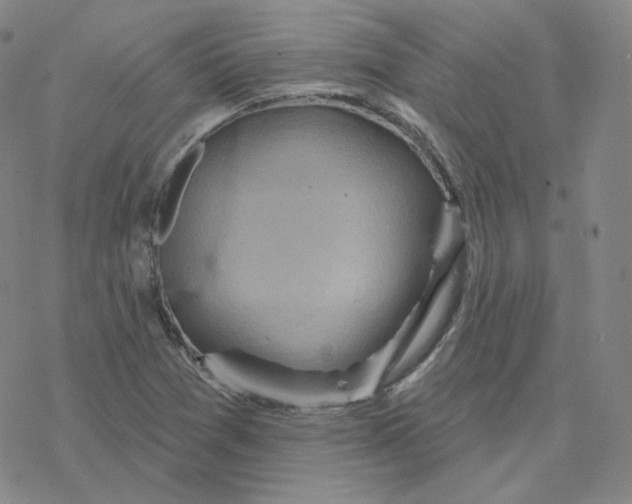 X0000076381361200610271517