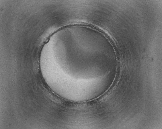 X0000076381363200610271517