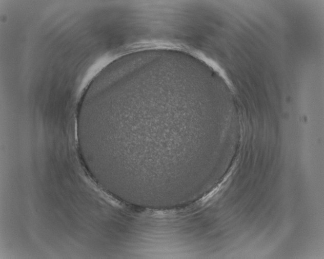 X0000076381365200610271517