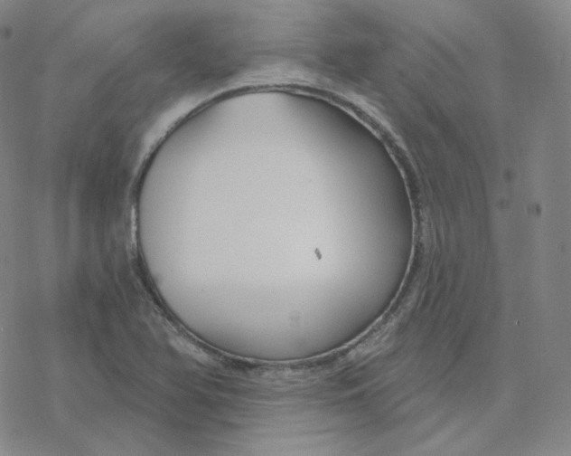 X0000076381366200610271517