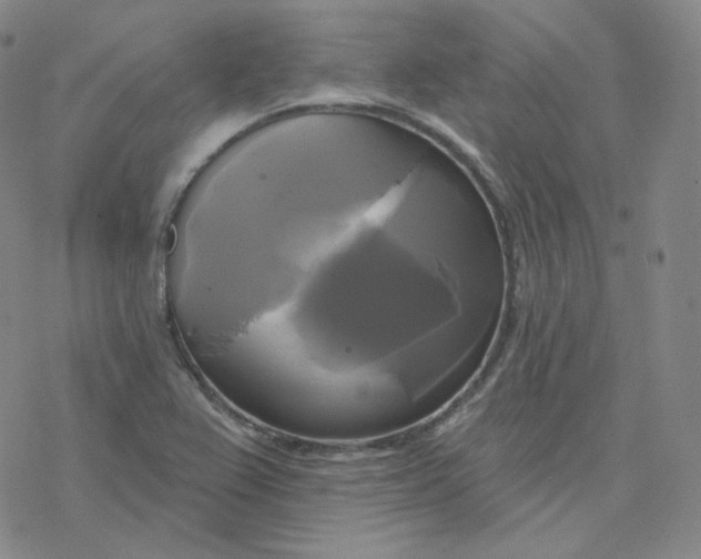 X0000076381367200610271517