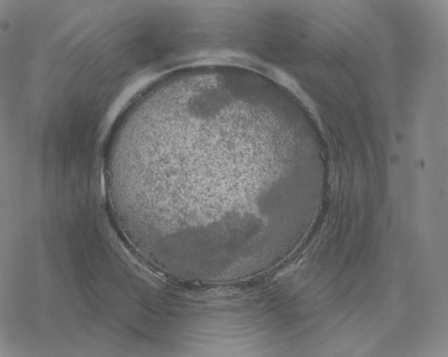 X0000076381368200610271517