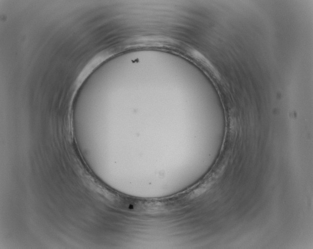 X0000076381370200610271517