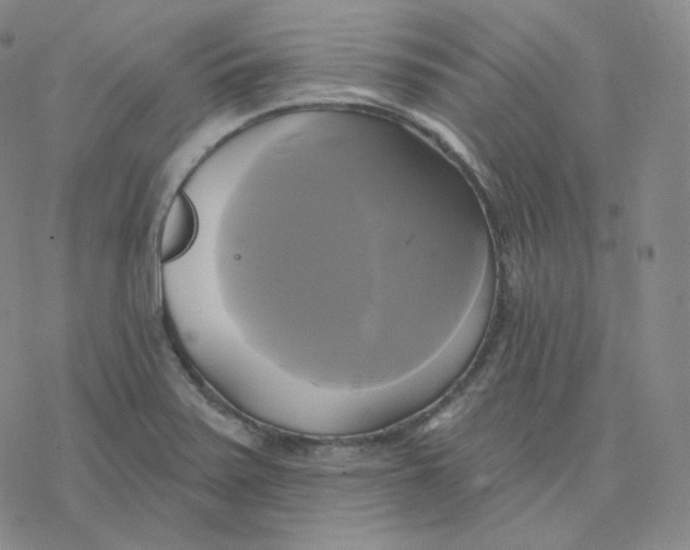 X0000076381371200610271517