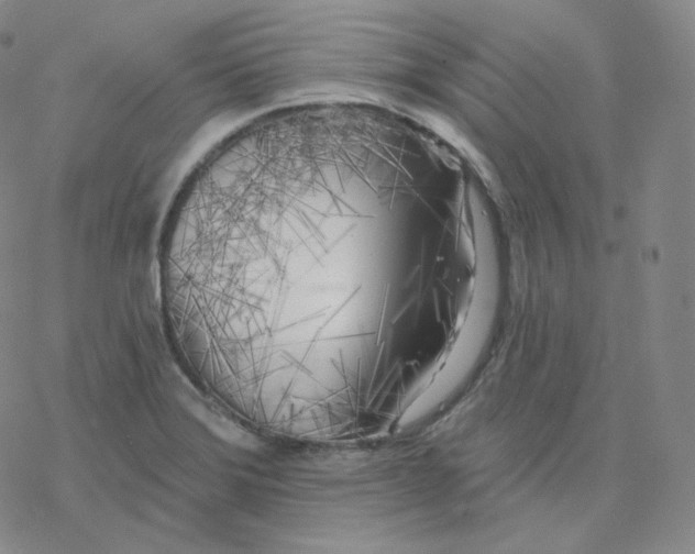 X0000076381372200610271517