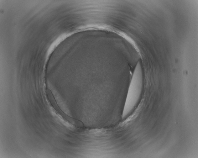 X0000076381373200610271517