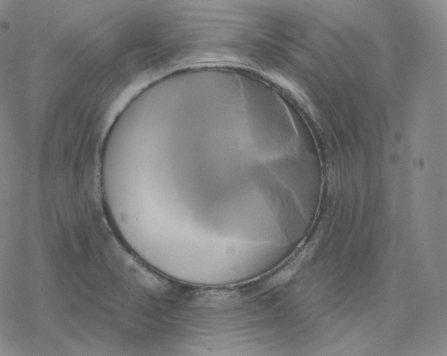 X0000076381374200610271517