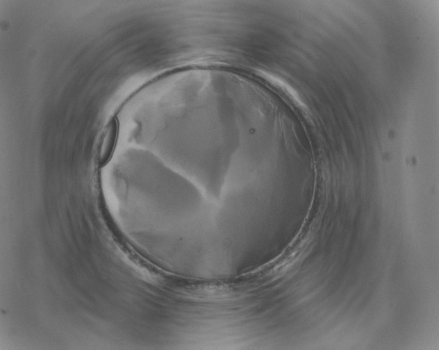 X0000076381375200610271517