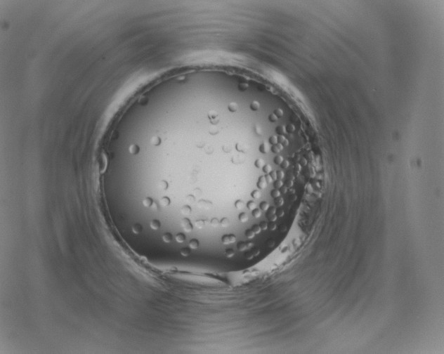 X0000076381376200610271517