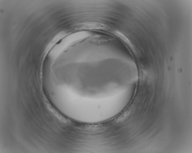 X0000076381378200610271517