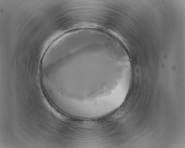 X0000076381379200610271517