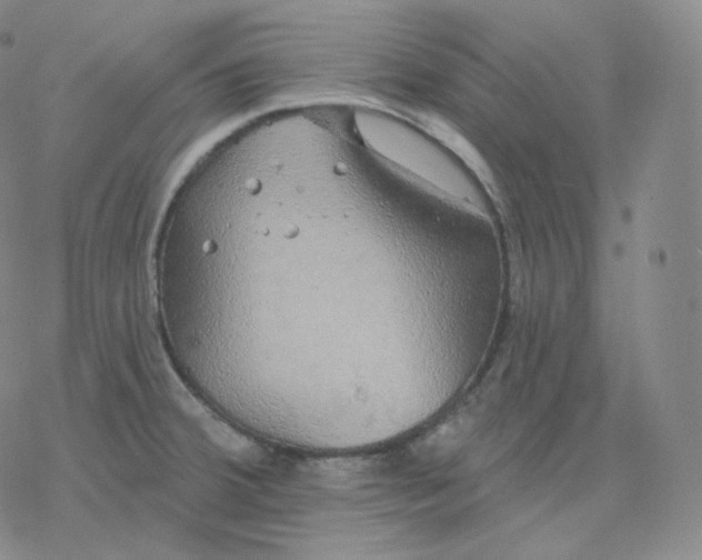 X0000076381380200610271517