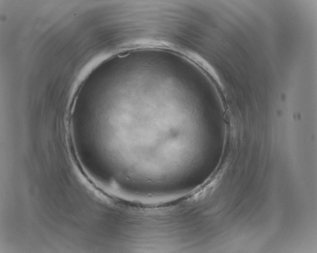 X0000076381381200610271517