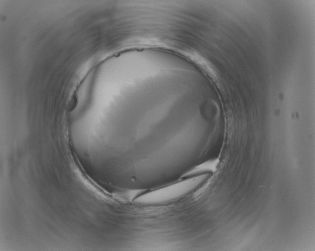 X0000076381382200610271517