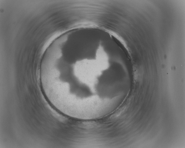 X0000076381383200610271517