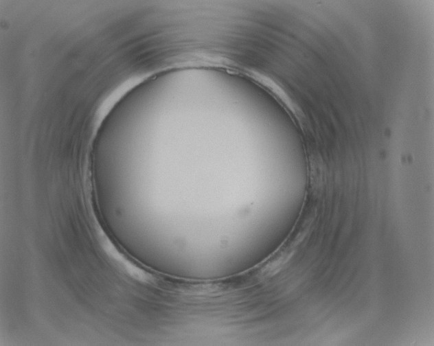 X0000076381387200610271517