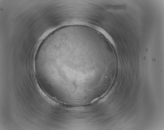 X0000076381388200610271517