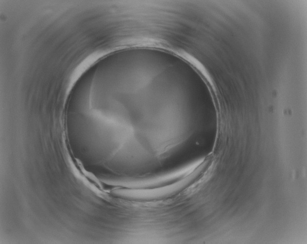 X0000076381389200610271517