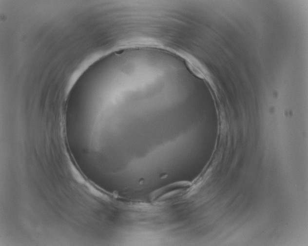 X0000076381390200610271517