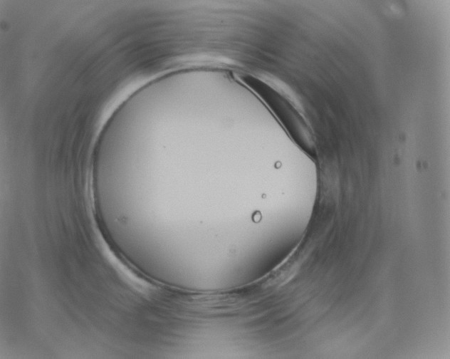 X0000076381391200610271517