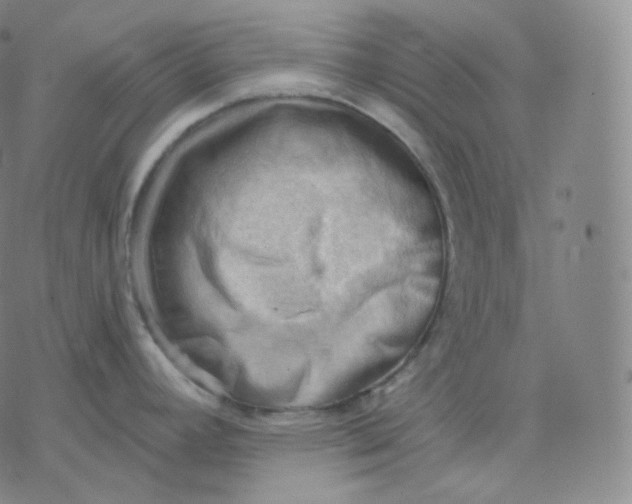 X0000076381392200610271517