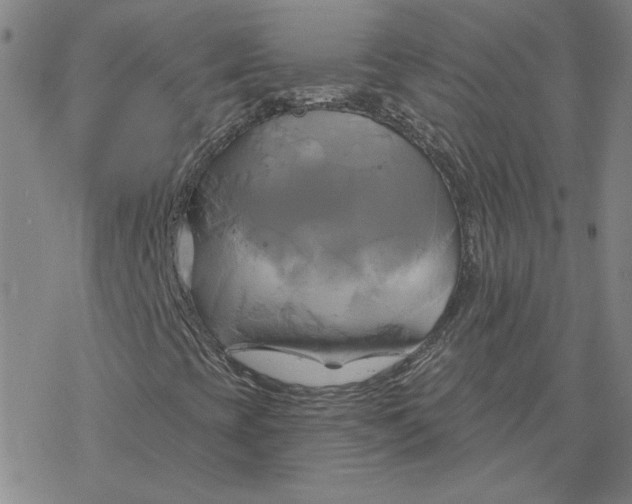 X0000076381393200610271516