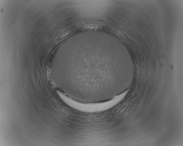 X0000076381394200610271516