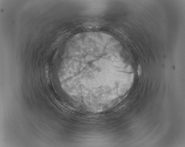 X0000076381396200610271516