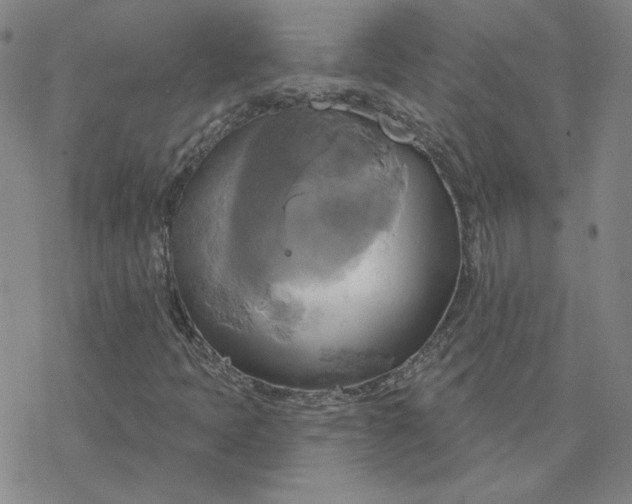 X0000076381397200610271516