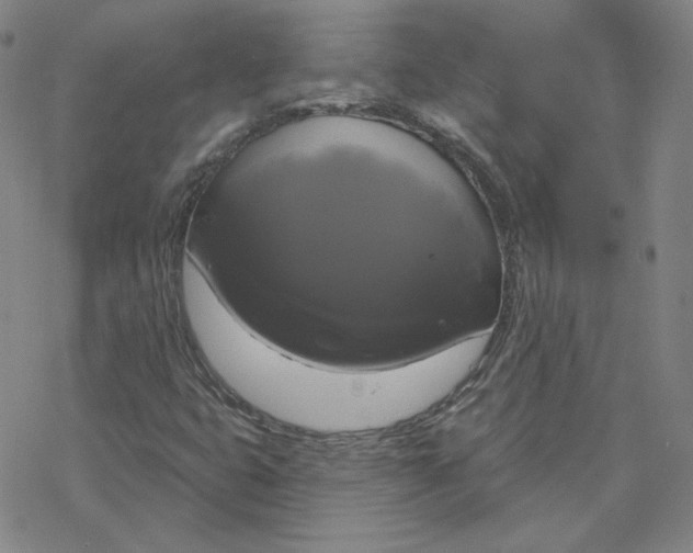 X0000076381399200610271516