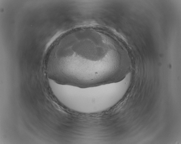 X0000076381400200610271516