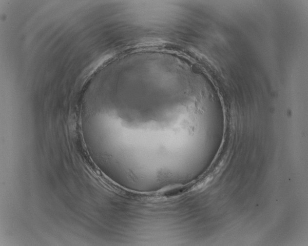 X0000076381401200610271516