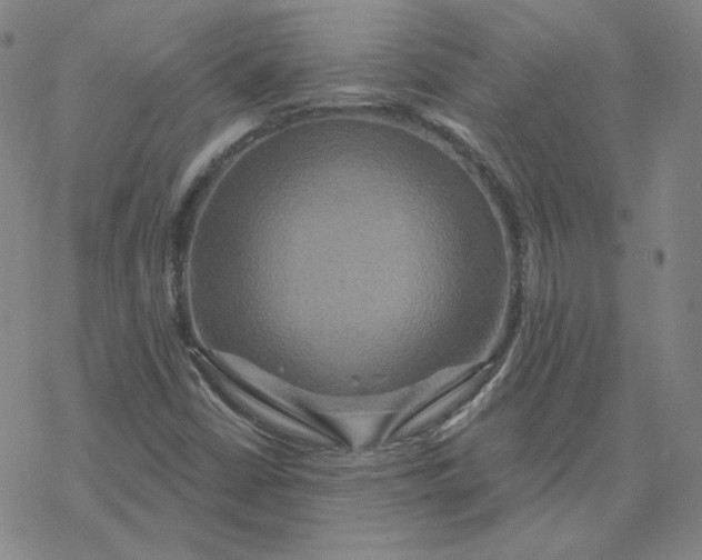 X0000076381402200610271516