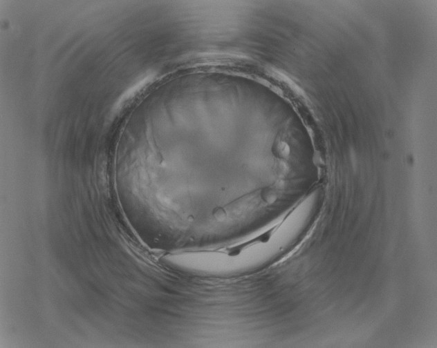 X0000076381403200610271516