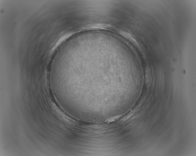 X0000076381404200610271516