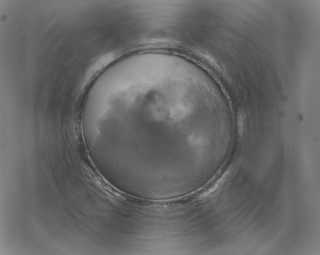 X0000076381405200610271516