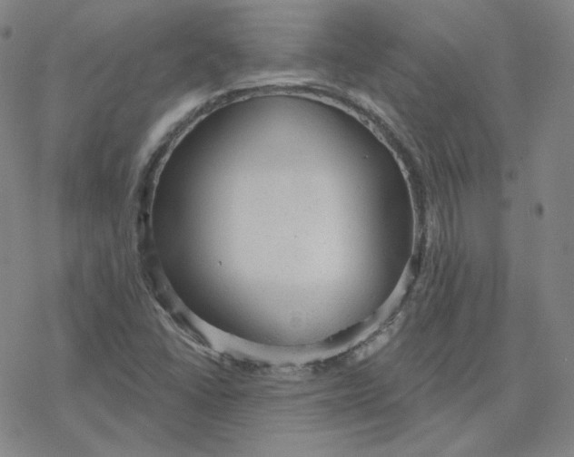 X0000076381406200610271516