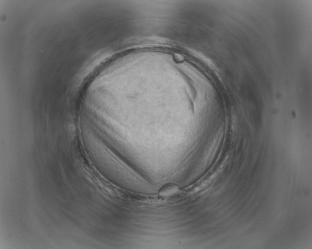 X0000076381407200610271516