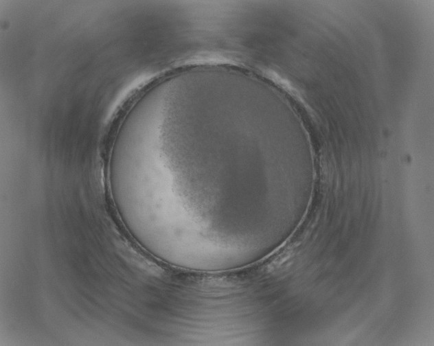 X0000076381408200610271516