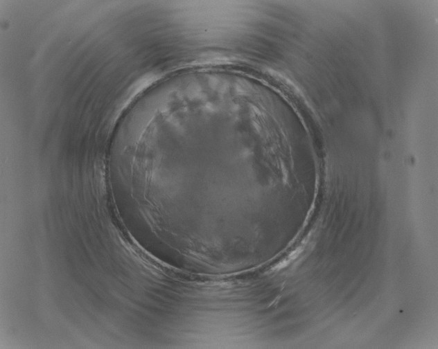 X0000076381409200610271516