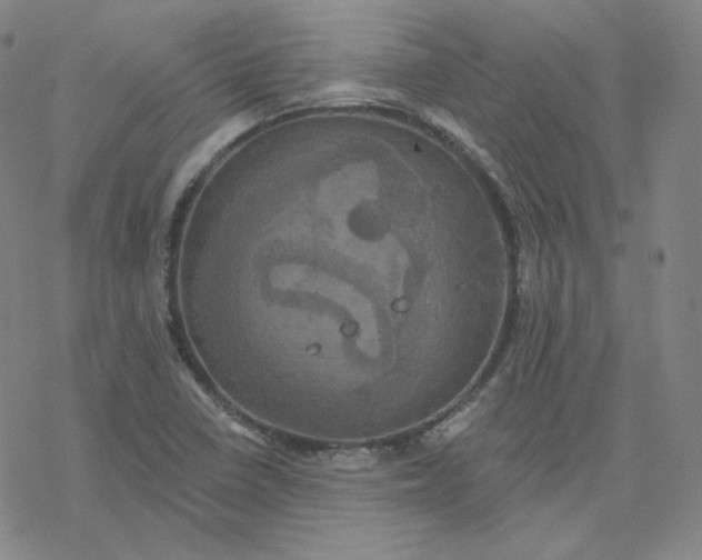 X0000076381410200610271516