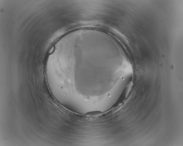 X0000076381411200610271516