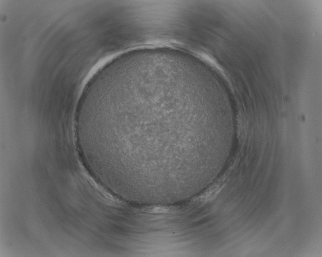 X0000076381412200610271516