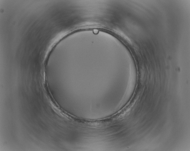 X0000076381413200610271516