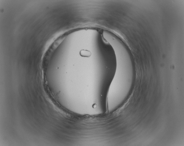 X0000076381414200610271516