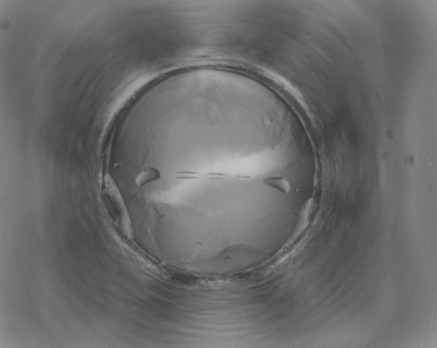 X0000076381415200610271516